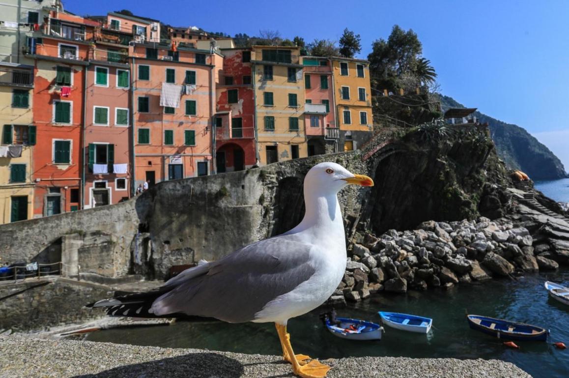 Terra Prime Suite Riomaggiore Zewnętrze zdjęcie